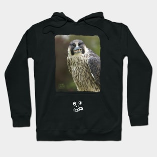 Peregrine Falcon Hoodie